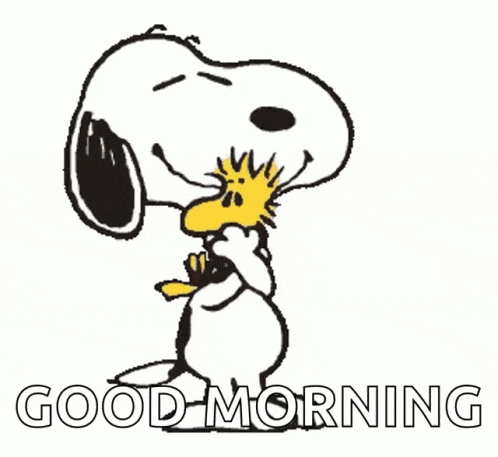 snoopy and woodstock are standing next to each other with the words `` good morning '' written below them .