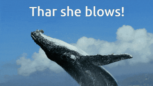 Whale Thar She Blows GIF - Whale Thar She Blows GIFs