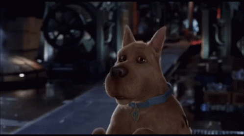 Scooby Doo Scared GIF - Scooby Doo Scared Screaming GIFs