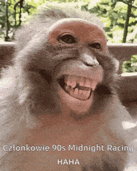 a close up of a monkey 's face with the words cztonkowie 90s midnight racing haha on the bottom