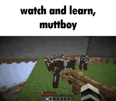 a screenshot of a minecraft game with the words watch and learn muttboy