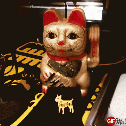 Cat Feng Shui GIF - Cat Feng Shui Fortune GIFs