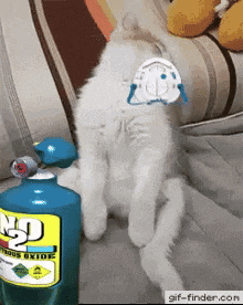 a white cat is sitting on a couch next to a bottle of hydrogen peroxide