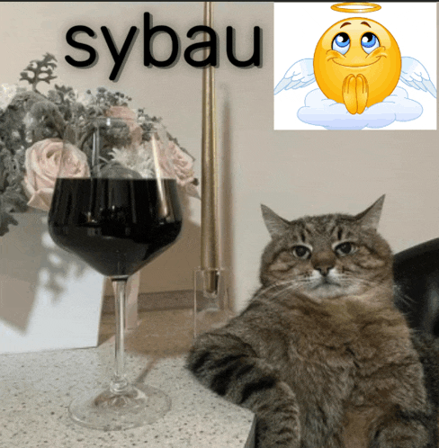 a cat is sitting next to a glass of wine and a picture of an angel