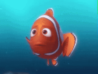 Finding Nemo Shocked GIF