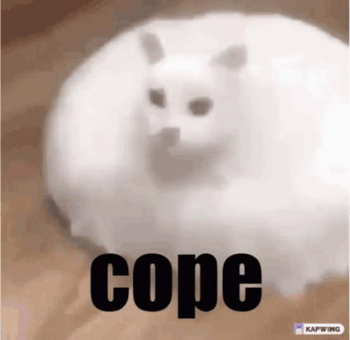 Cat Cope GIF - Cat Cope Cursed GIFs