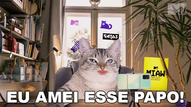 a cat is sitting in front of a window with a sign that says gatas