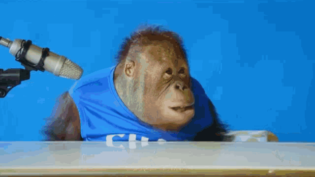 a monkey wearing a blue shirt is being interviewed by a microphone