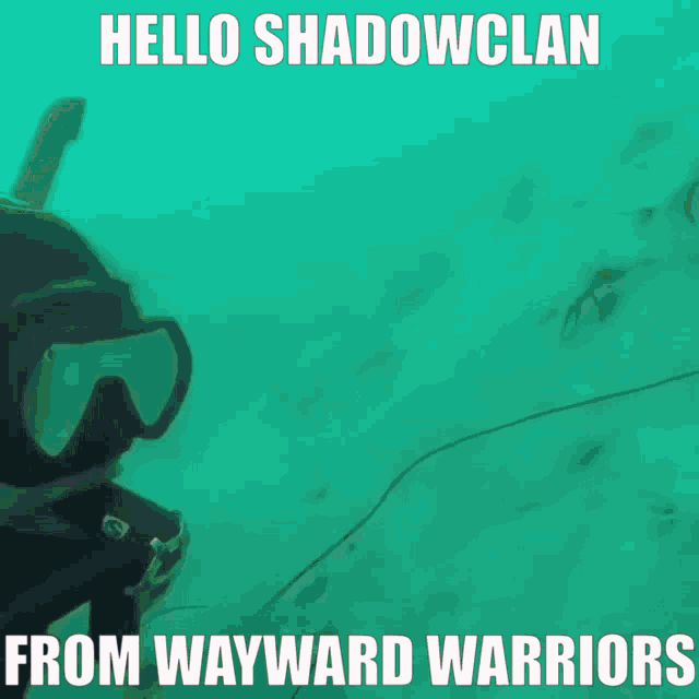 Wayward Wayward Warriors GIF - Wayward Wayward Warriors Shadowclan GIFs