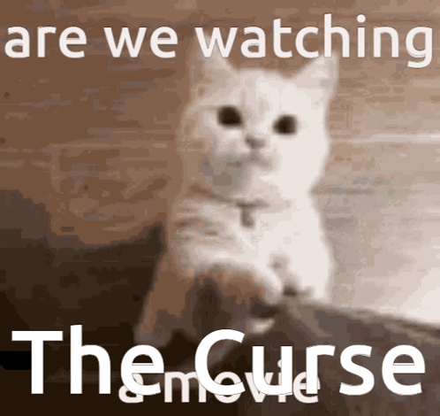 Are We Watching The Curse GIF - Are We Watching The Curse Are We GIFs