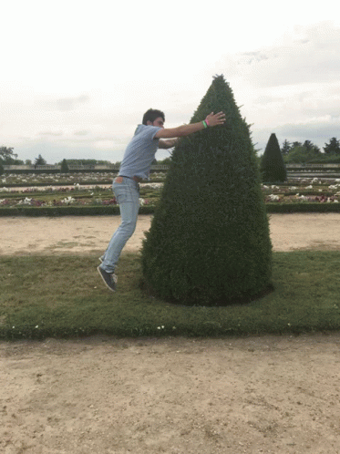 Hang In There Jumping GIF - Hang In There Jumping Joy GIFs