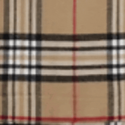 a close up of a burberry plaid fabric
