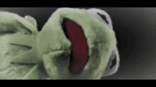 a close up of kermit the frog 's face with its mouth open