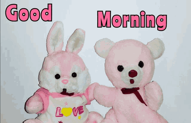 a pink teddy bear and a pink bunny with the words good morning