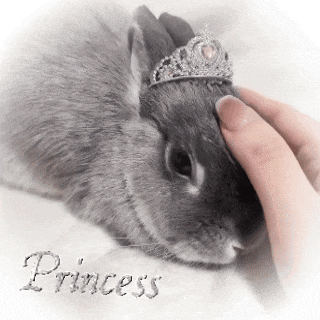 a rabbit wearing a tiara is being petted by someone