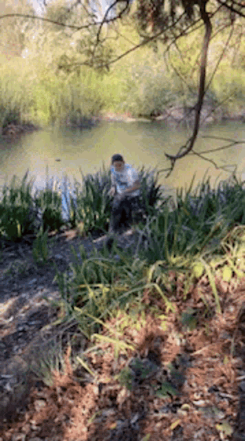 Charlie The Lake Goblin Swamps Dwelling Creature GIF - Charlie The Lake Goblin Swamps Dwelling Creature GIFs