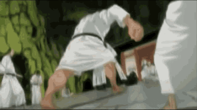 a group of karate fighters are practicing their moves