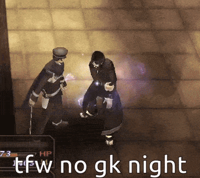 a screenshot of a video game with the words " tfw no gk night "