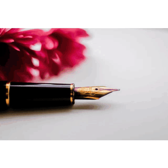 a fountain pen is laying on a piece of paper next to a red flower