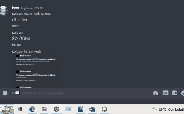 a computer screen shows a message from solgun nickin çok igrenc