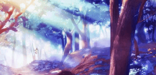 the sun is shining through the trees in a forest