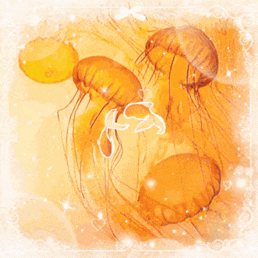 a picture of a bee and a goldfish on a cd that says stereo