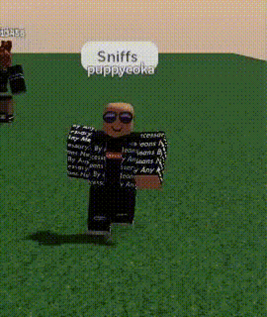 a roblox character named sniffs puppydoka is walking on a grassy field
