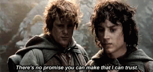Lord Of The Rings There GIF