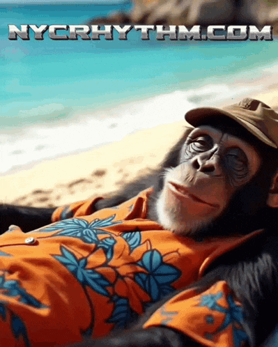a chimpanzee laying on a beach with nycrhythm.com written in the corner