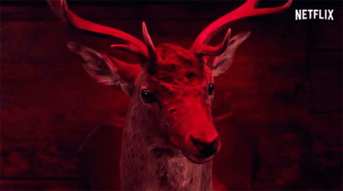 Deer Head A Classic Horror Story GIF - Deer Head A Classic Horror Story Mounted Deer Head GIFs