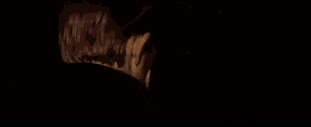 a close up of a man 's face in the dark with a beard .