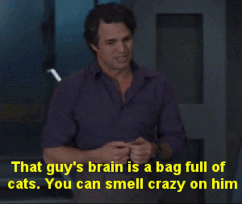 Hulk That Guys Brain GIF - Hulk That Guys Brain Bag Full Of Cats GIFs