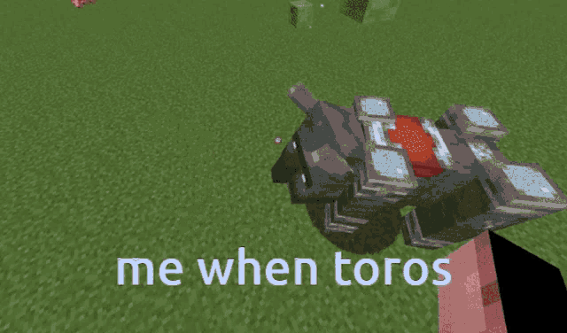 a screenshot of a video game with the words me when toros on the bottom