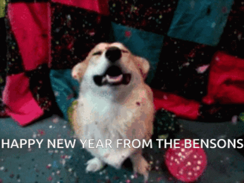 Happy New Year Corgi GIF - Happy New Year Corgi Bensons GIFs