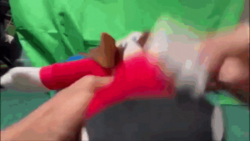 a person is holding a stuffed animal in front of a green background
