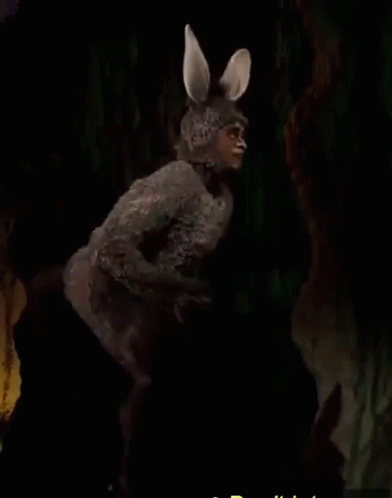 Thicc Donkey Shrek The Musical GIF - Thicc Donkey Shrek The Musical Shrek GIFs