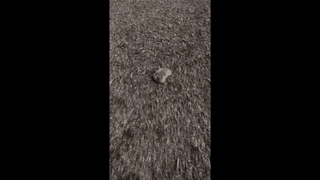 a person is standing on a pile of mulch in a park .