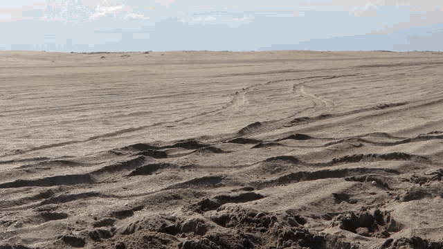 a desert landscape with tracks in the sand and a blue sky in the background