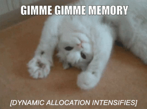 Cats Dynamic Allocation GIF - Cats Dynamic Allocation Programming GIFs