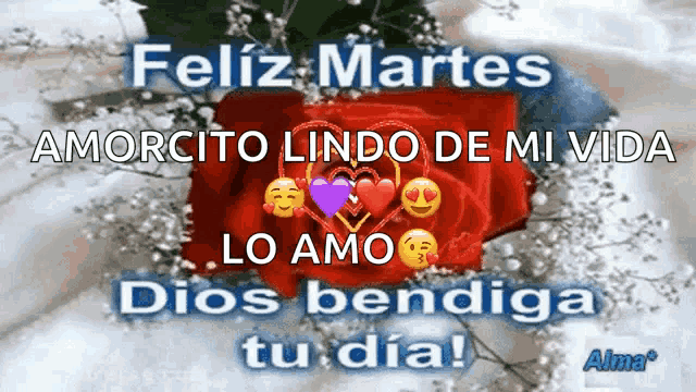 feliz martes amorcito lindo de mi vida lo amo dios bendiga tu día