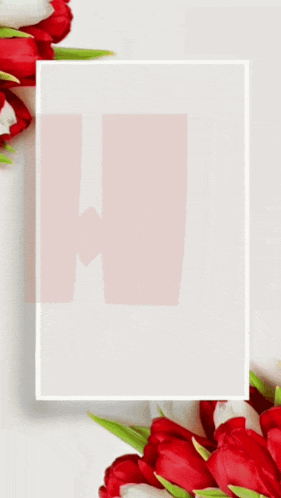 a white frame with red and white flowers and the letter a