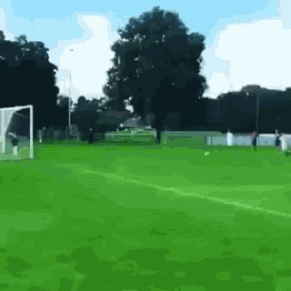 a soccer field with trees in the background and a goal