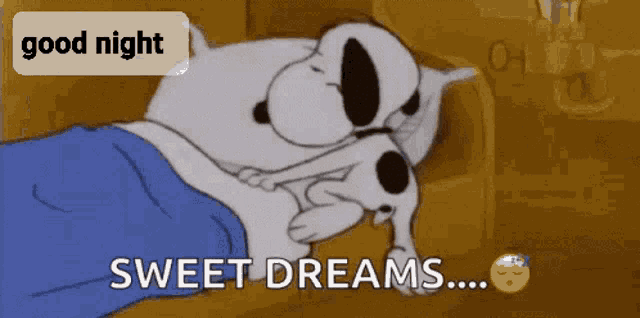 Good Night GIF