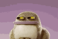 Squint Frog Frog Meme GIF - Squint Frog Frog Meme GIFs