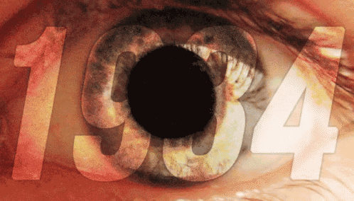 a close up of a person 's eye with the numbers 1934 visible