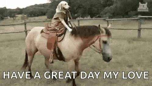 a dog is riding on the back of a brown horse .