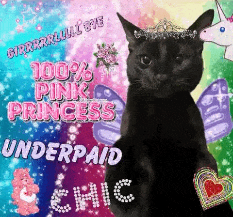 a black cat wearing a pink princess crown is sitting in front of a colorful background .