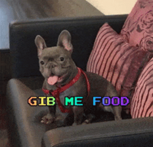 Give Me Food Feed Me GIF