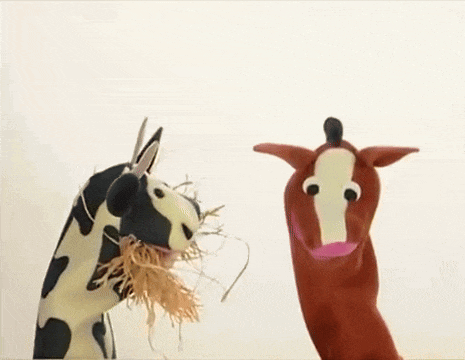 a cow and a horse puppet eating hay together
