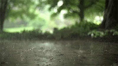Rain Raindrop GIF - Rain Raindrop Summer GIFs